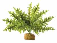 Exo Terra Boston Farn, künstliche naturgetreue Pflanze für Terrarien, ideal...