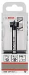 Bosch Professional 1 x Carbide Kunstbohrer (&Oslash; 18 mm, Zubeh&ouml;r Bohrmaschine)
