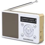 TechniSat Transita 100 tragbares DAB+ Radio (DAB+, UKW, FM, Lautsprecher,