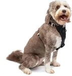 Kurgo TRU-Fit Leine, Halsband Hund, No Pull Hundegeschirr, Frontclipfunktion f&uuml;r