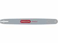 Oregon 243RNFD009 Schwert Power Match