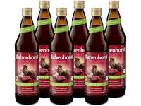 RABENHORST Rote Bete BIO 6er Pack (6 x 700 ml) - Hochwertiger Rote-Bete-Saft...