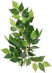 Exo Terra Fikus, h&auml;ngende Regenwaldpflanze aus Seide, klein, L&auml;nge 31cm