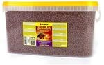 Tropical Cichlid Carnivore Pellet M 10L