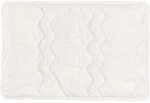 Tr&auml;umeland T060603 Naturkissen - Naturweich, 40 x 60 cm,Wei&szlig;