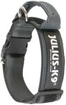 JULIUS K-9 200HA-K-2015 Color & Gray series-K9-Halsband mit Haltegriff,