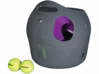 PetSafe Automatisches Hundespielzeug, interaktiver Tennisballwerfer für Hunde,
