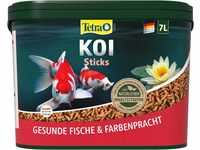 Tetra Pond Koi Sticks – Koifutter für farbenprächtige Fische und eine...