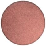 SMALL EYESHAD PRO PALETTE Antiqued