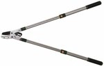 Siena Garden Astschere, teleskopierbar 68-102cm, silber/gr&uuml;n, 557321