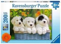 Ravensburger Puzzle Kuschelige Welpen - 200 XXL Teile Puzzle ab 8 Jahre