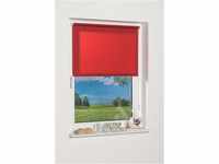 K-home 236626-1 Klemmfix-Minirollo, Rot Tageslicht 40 x 150 (B x L)
