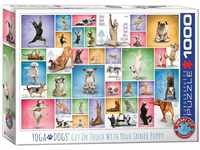 EuroGraphics Yoga Dogs, 1000 Teile Puzzle, Mehrfarbig