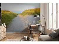 Komar Fototapete | SANDY PATH | 368 x 254 cm | Tapete, Wand Dekoration, Düne,...