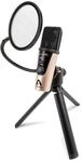 Apogee HypeMiC Hype Mic rose gold