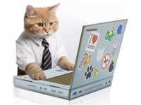 SUCK UK Kratz-Laptop aus Pappe für Katzen | Katzenspielzeug | Laptop |...