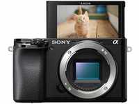 Sony Alpha 6100 | APS-C Spiegellose Kamera ( Schneller 0,02s-Autofokus, Autofokus mit