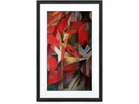 Netgear MEURAL Canvas II MC321BL Smart Art Digitale HD-Leinwand 41 x 61 cm...