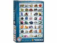 Eurographics 6000-2008 Puzzle, bunt