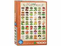 Eurographics 6000-0598 Herbs and Spices Puzzle, Mehrfarbig, 48 x 68 cm