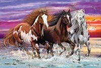 Wildes Pferde-Trio (Kinderpuzzle)