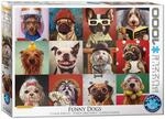 Eurographics 1000 Teile - Lustige Hunde von Lucia Heffernan, 48x68cm