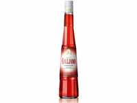 Galliano L`Aperitivo wine (1 x 0.5 l)