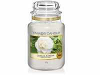 Yankee Candle Duftkerze| Camellia Blossom | Brenndauer bis zu 150 Stunden |...