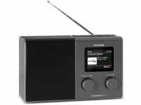 TechniSat TECHNIRADIO 4 IR – kompaktes Internetradio-Designradio (DAB+, UKW,