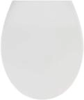 WENKO Toilettendeckel mit Absenkautomatik, oval, belastbar bis 175 kg, Abnehmbarer WC