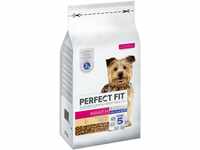 Perfect Fit Adult 1+ Trockenfutter für kleine Hunde (<10kg), 6kg (1 Beutel) –