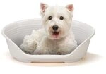 Ferplast Hundebett Katzenbett Kunststoff-Hundebett klein Hundeliege waschbar