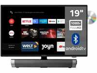 Reflexion_TV LDDW19iSB+ DVD-PlayerSmart-TV 19 Zoll für Wohnmobile und...