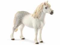 schleich 13871 Welsh-Pony Hengst, für Kinder ab 3+ Jahren, FARM WORLD -...