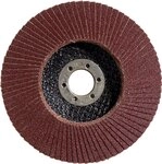 Bosch Accessories Professional 1x F&auml;cherschleifscheibe X431 Standard for Metal (f&uuml;r