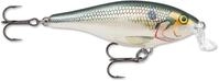 Rapala, Shad Rap Elite Angelk&ouml;der, schwimmender S&uuml;&szlig;wasserk&ouml;der, Schwimmtiefe: