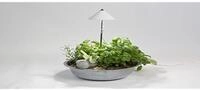 Venso EcoSolutions Sunlite Pflanzenlampe, wei&szlig;, 1 St&uuml;ck (1er Pack)