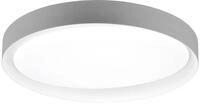 Reality Leuchten LED Deckenleuchte Zeta R62712411, Kunststoff grau oder wei&szlig;, inkl.