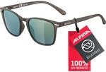 ALPINA YEFE - Verspiegelte und Bruchsichere Sonnenbrille Mit 100% UV-Schutz F&uuml;r