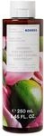KORRES GINGER LIME Revitalisierendes Duschgel mit aktiv Aloe-Vera, mit zitrischem