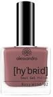 Alessandro Hybrid Lack Rosy Wind &ndash;dunkles Mauve Braun&ndash; In Nur 3 Schritten -