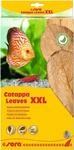 sera Catappa Leaves XXL 30-35 cm (10St) - Seemandelbaumbl&auml;tter f&uuml;r die nat&uuml;rliche