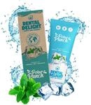 DENTAL DELIGHT Polar Punch Zahnpasta (TESTSIEGER), Vegane Zahnpasta mit Geschmack,