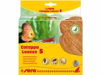 sera Catappa Leaves S 10-15 cm (10St) - Seemandelbaumblätter für die...