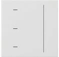 Gira 536527 System 3000 Touchaufsatz System 55, Reinwei&szlig; Seidenmatt