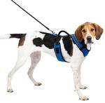 PetSafe EasySport Hundegeschirr - Strapazierf&auml;higes, gepolstertes Material,