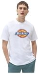 Dickies Herren Icon Logo Tee T-Shirt, Multicolor, M EU