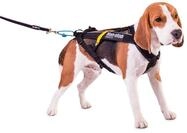 Non-Stop Zuggeschirr FREEMOTION Harness Brustgeschirr schwarz f&uuml;r Hunde Gr&ouml;&szlig;e 4