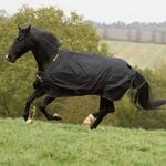 Bucas Irish Turnout 150g Gr&ouml;&szlig;e 165, Black/Gold