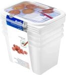 Rotho Domino 4er-Set Gefrierdose 1l mit beschreibbarem Motiv auf dem Deckel,